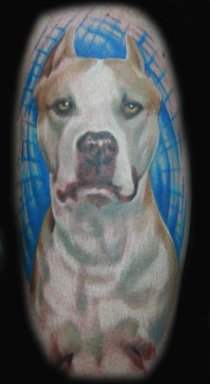 Tattoos - Brent's Pit Diablo - 28569